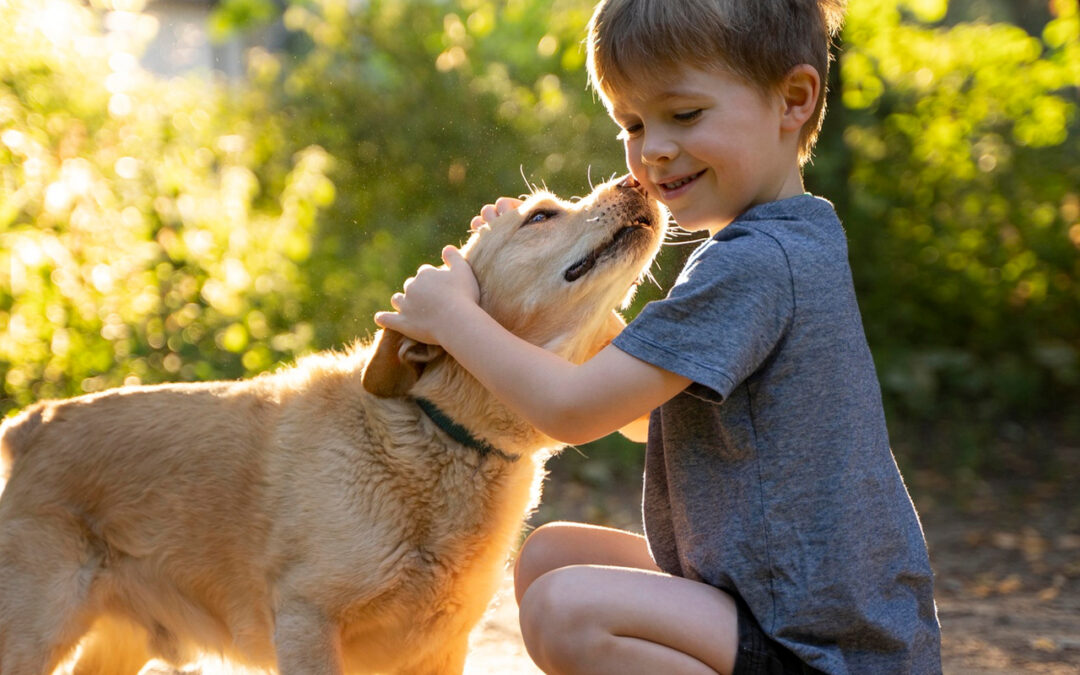 Gedanken eines Tierarztes über Hundefutter